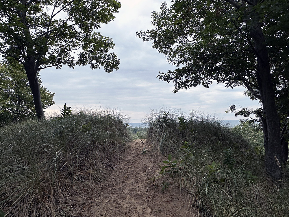 Oxbow_hilltop_lakeview